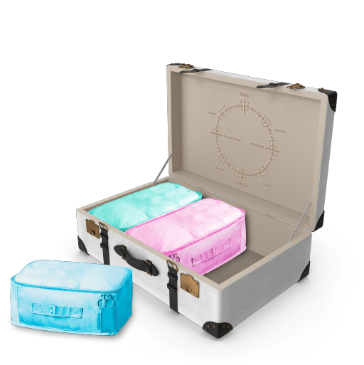 breifcase 1