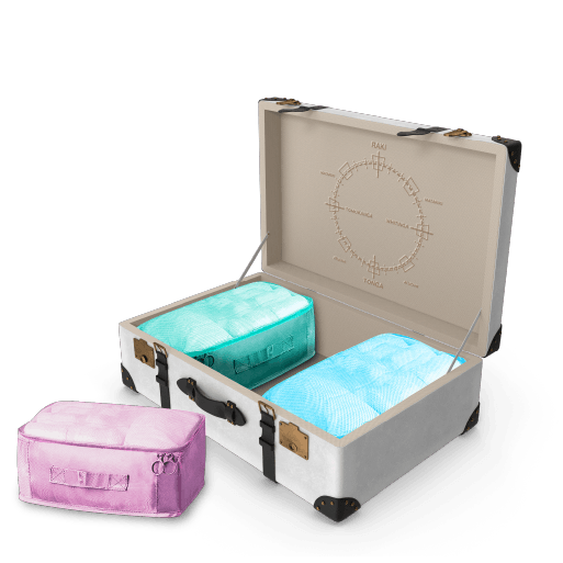 breifcase 1