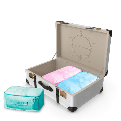 breifcase 1